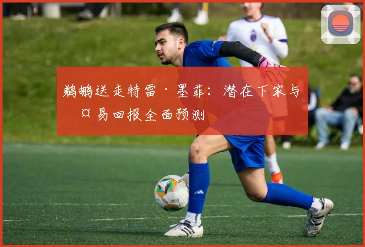 鹈鹕送走特雷·墨菲：潜在下家与交易回报全面预测