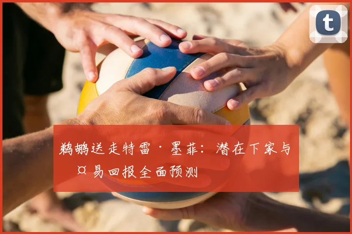 鹈鹕送走特雷·墨菲：潜在下家与交易回报全面预测