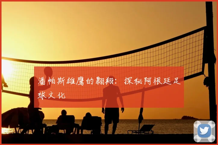 潘帕斯雄鹰的翱翔：探秘阿根廷足球文化