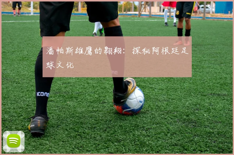 潘帕斯雄鹰的翱翔：探秘阿根廷足球文化